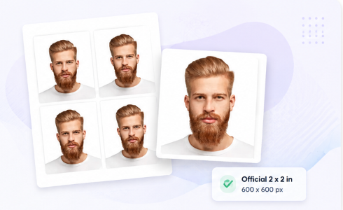 Official 2x2 US Visa and Passport photo maker preview layout